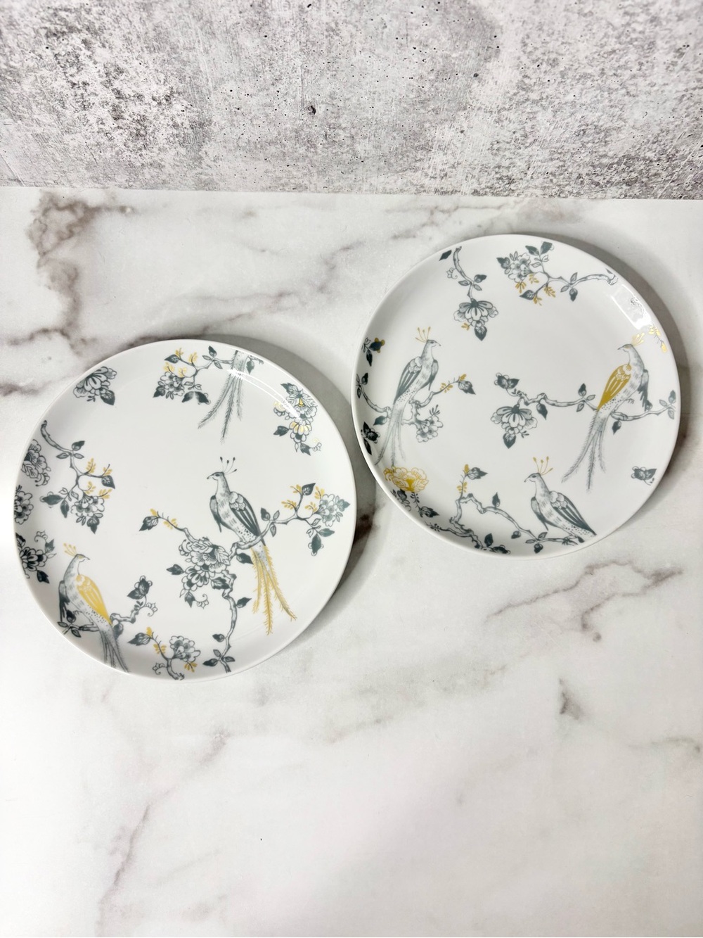Villeroy & Boch Vivo Peacock Porcelain Plates Set of 2